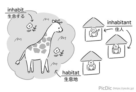 inhabitants or dwellers meaning|Inhabitant vs Dwellers .